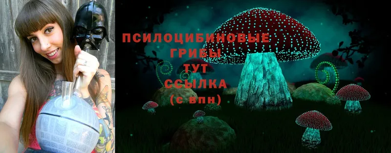 Псилоцибиновые грибы MAGIC MUSHROOMS  Курганинск 